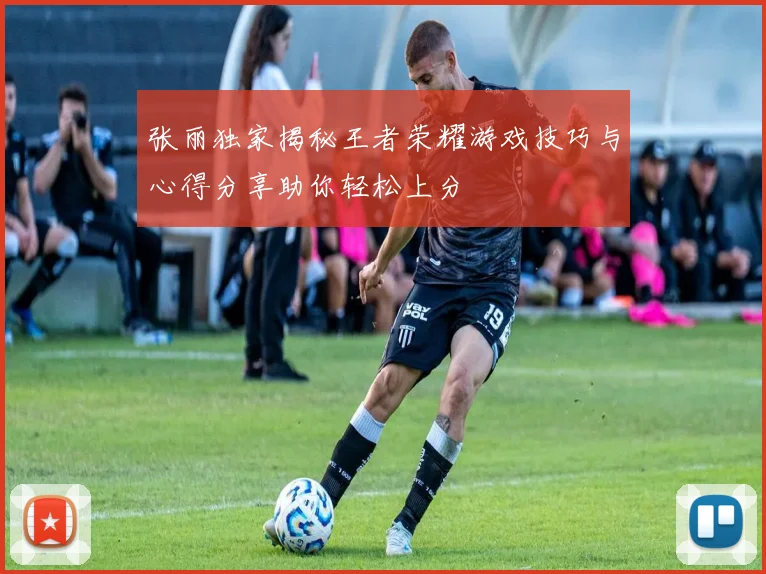 张丽独家揭秘王者荣耀游戏技巧与心得分享助你轻松上分